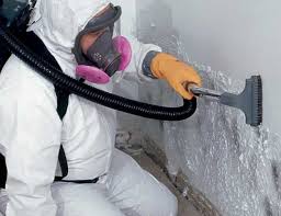 Best Mold Odor Removal Services in Air Force Academy, CO